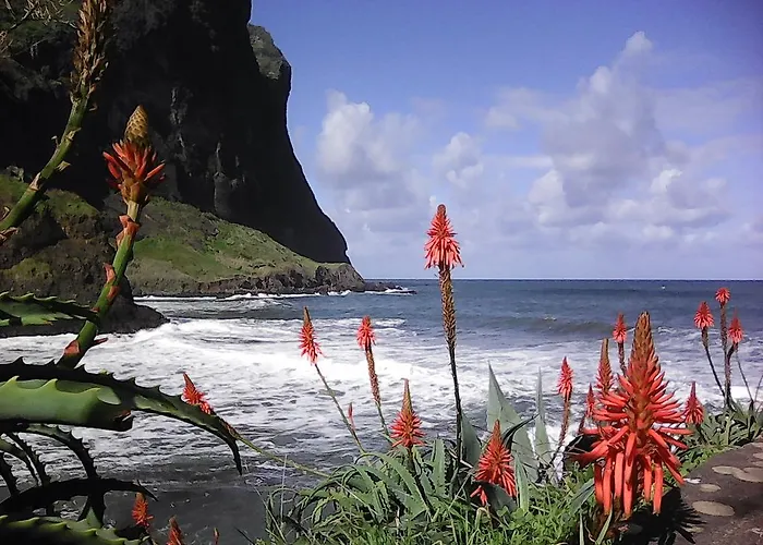 Vivenda Linda Vista * Porto Da Cruz